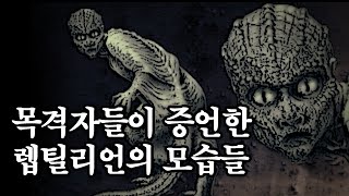 요괴백과 목격자들이 증언한 렙틸리언의 모습들 괴담귀신미스테리무서운이야기 [upl. by Bevus364]