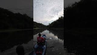 Smallmouth Bass on Crooked Creek  Kayak Fishing  Bonafide RVR 119  Nature [upl. by Eiramyelhsa]