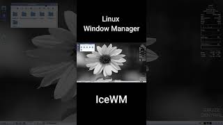 IceWM  Linux Window Manager [upl. by Malanie]