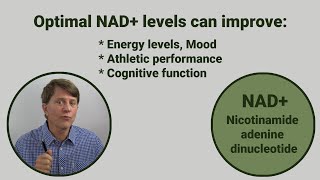 NMN vs NR vs Nicotinamide vs NA Which one to increase NAD muscle strength energy and skin health [upl. by Adle]