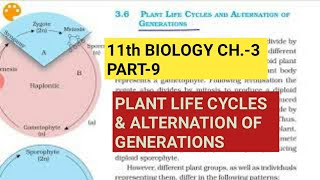 Class 11 BiologyCh3 Part9Plant life cycles amp Alternation of generationsStudy with Farru [upl. by Niamrahc]