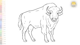 Discover the Surprising Trick to Realistic Bison Drawing  Draw easily A Bison sketch  artjanag [upl. by Eirual]