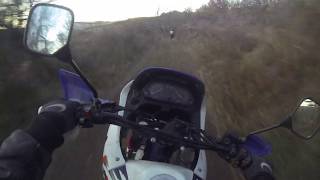 Honda Dominator vs Suzuki dr 600 Enduros [upl. by Artenra]