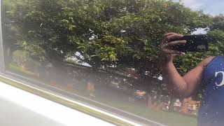 Effective way to remove Car paint overspray on car glass windows [upl. by Annovy]