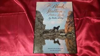 The Black Stallion Picture Book [upl. by Lorilyn]