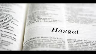 The Book of Haggai From The Bible Experience [upl. by Winny47]