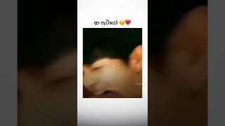 අපිලගෙ පැටියෝ😚❤️memes youtubeshorts funny jokes tiktok trending [upl. by Epul]