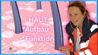 Die Haut Aufbau und Funktion [upl. by Shien]