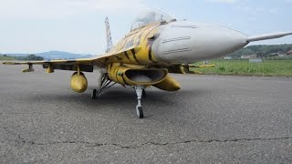 Scale RC Jet in Payerne Lockheed Martin F16 Fighting FalconF16A Tiger colours [upl. by Nylirem374]