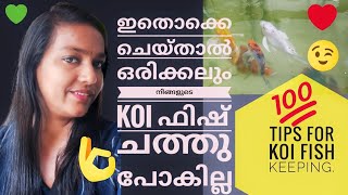 How to Care Koi FishesKoi Carp Caring MalayalamKoi FishKoi Fish Tank SetupKoi Fish Full Details [upl. by Teirrah]