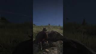 Red Dead Redemption 2 Hay que ser sigiloso con los O´driscolls [upl. by Zosema648]