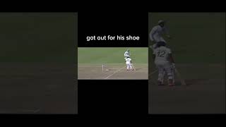 Craziest hitwickets shorts cricket viralshort [upl. by Selene]