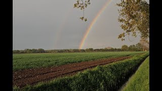 Plocher Humusboden heilt Böden [upl. by Care333]