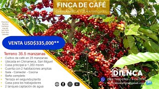 FINCA DE CAFÉ EN CHINAMECA DE 355 MANZANAS CANTON COPINOL PRIMERO SAN MIGUEL [upl. by Oihsoy476]