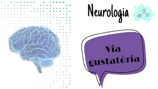 Neurologia Vias gustativas [upl. by Felisha]