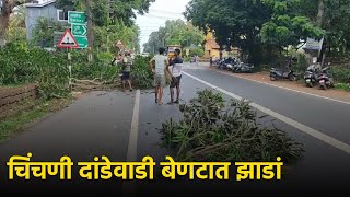 Chinchinim P’yat Clears Fallen Tree after Concerned Dept Allegedly Ignores  GOA365 TV [upl. by Ihteerp626]