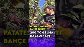 Bahçe kurdu 200 ton elma hasadı yaptı [upl. by Kerge]