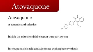 Atovaquone [upl. by Rufina296]