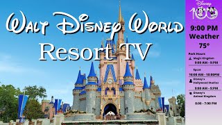 WDW Resort TV Today Channel  Disney World  LIVE STREAM  New Version [upl. by Irpac]