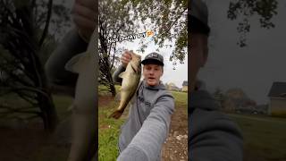 Whopper plopper still works in the fall👀🎣bassfishing viralvideo fallbassfishing fish [upl. by Scevour]