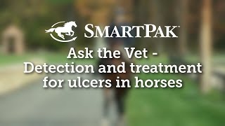 Ask the Vet  Detection and treatment for ulcers in horses [upl. by Etrem]