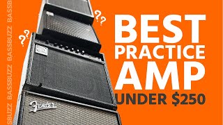 Best Beginner Bass Amp Group Review [upl. by Cann714]