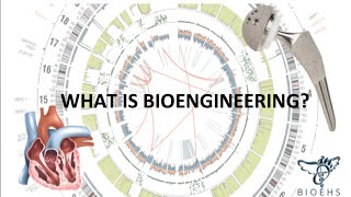 What is Bioengineering  BioEHS [upl. by Ottillia878]