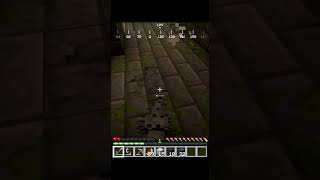 Endermite Atttack on me in Minecraft [upl. by Benjie]