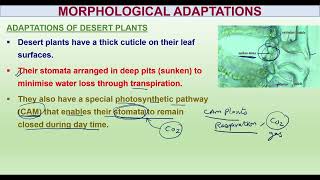 Class 12 BIOLOGY Chap 13 organism and populations part 2 [upl. by Chlo699]