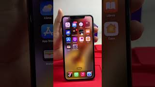 iPhone 11 Pro con problemas en su auricular y cambio de batería [upl. by Kinna]