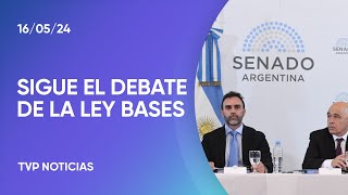 Ley Bases debate en el plenario de comisiones del Senado [upl. by Beniamino]