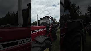 INTERNATIONAL 1255 TURBO ihc international oldtimer enjoy fyp balkan viralvideotractor [upl. by Ribaj]