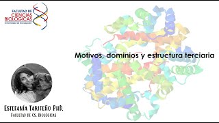 Clase4b Motivos Dominios y estructura terciaria [upl. by Wolff]