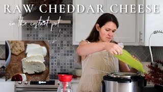 Make Raw Cheddar Cheese in the Instant Pot  Raw Milk Recipes [upl. by Catie]