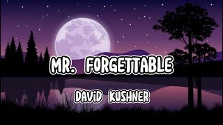 Mr Forgettable David Kushner Lyrics [upl. by Sells]