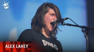 Alex Lahey  I Havent Been Taking Care of Myself Splendour in the Grass 2018 [upl. by Ahtenek]