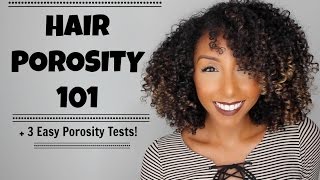 Hair Porosity 101 amp 3 Easy Hair Porosity Tests  BiancaReneeToday [upl. by Nysila]