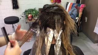 Shadow Root Balayage  Hair Tutorial [upl. by Allana]