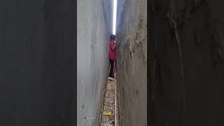 Brave girl rescues kitten stuck in narrow opening [upl. by Arratahs]