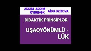 DİDAKTİK PRİNSİPLƏR UŞAQYÖNÜMLÜLÜK [upl. by Oba440]