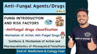 Antifungal Drugs  Classification of Antifungal agents  Antifungal Agents mechanism of action [upl. by Atsugua]