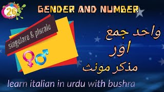 26 Singolare plurale maschile e femminile  learn italian in urdu [upl. by Nnazil]