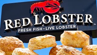 I havent been to Red Lobster in 14 years [upl. by Zilada62]