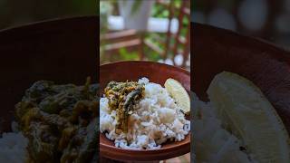 New ranna recipe কচুর ডাটা দিয়ে চ্যাপা shorts youtubeshorts trending [upl. by Durnan544]