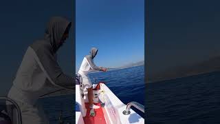 jigging style fishing shimanofishing fyp [upl. by Ciapas]