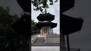 Battersea park and London Peace Pagoda  England  United Kingdom  Thames  parks river travel [upl. by Siari]