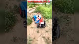 Cute baby love ❤️ Watermelon 2024 shorts viralshorts watermelondrink funnyshorts [upl. by Aydin]