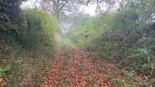 Pentridge hill trail run [upl. by Juliana937]