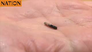 Swedish firm unveils microchip inserted under skin for Covid vaccine pass [upl. by Rexfourd]