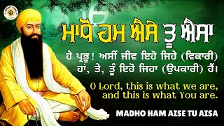 Madho Ham Aise Tu Aisa Shabad Kirtan [upl. by Woolson]